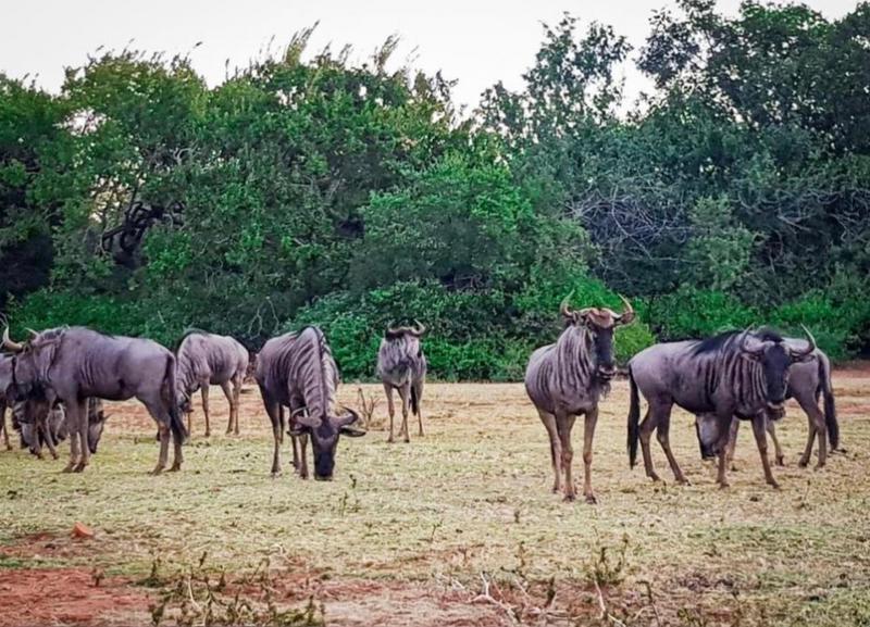 0 Bedroom Property for Sale in Broederstroom North West